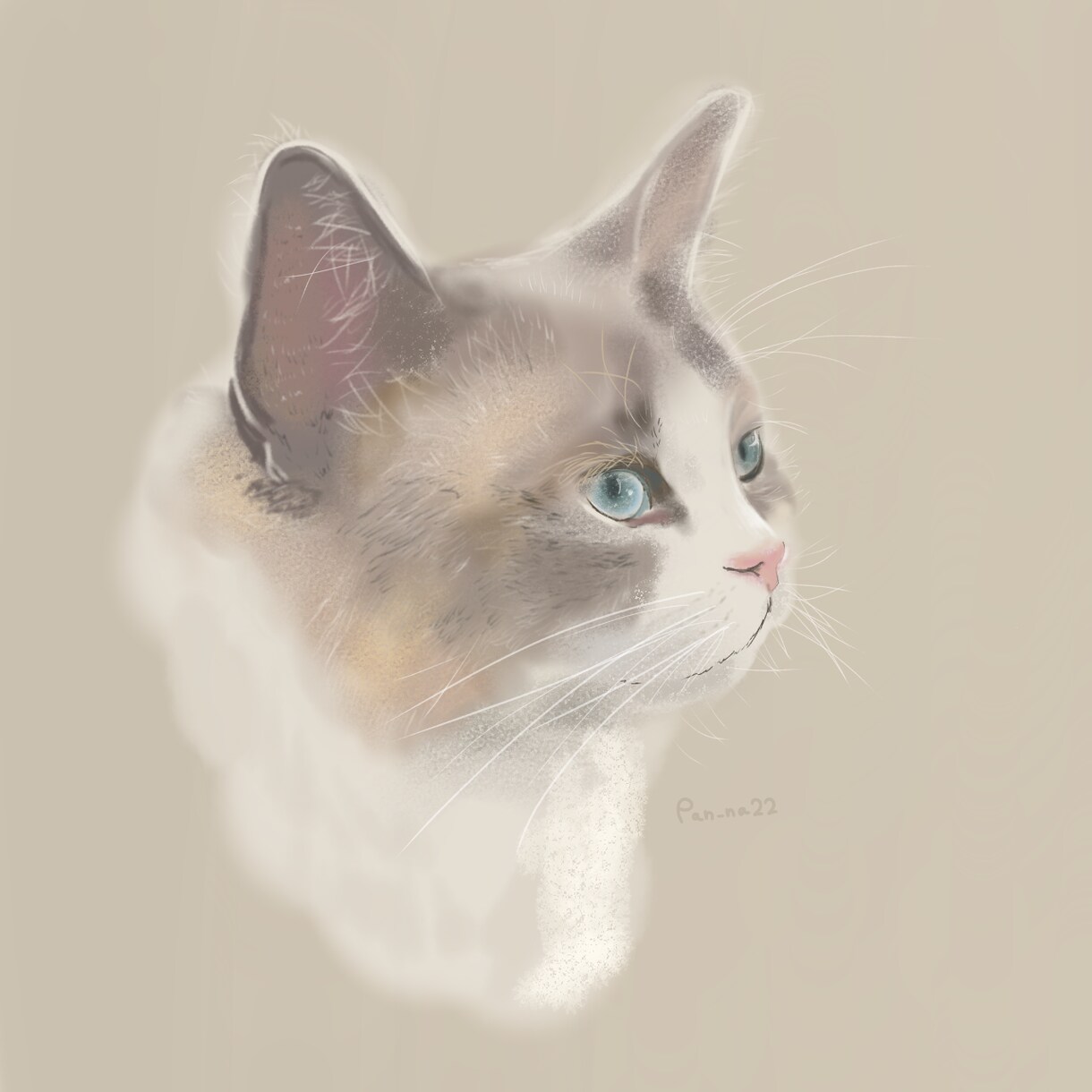 おうちの猫ちゃんでアイコン作ります アイコンやホーム画面などにお使いください^_^ イメージ1