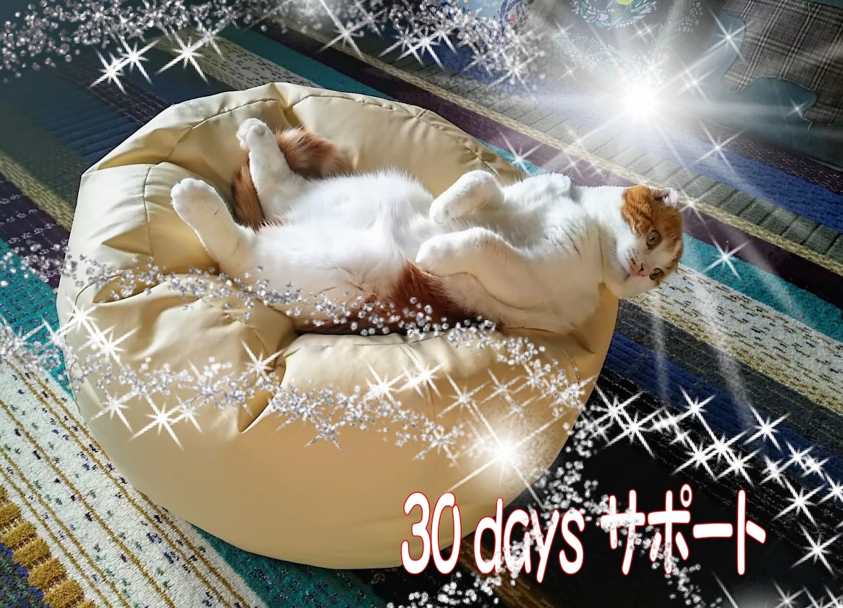 優しい笑顔でダイエット☘️30日間サポートします この道40年の匠が笑顔で❀お背中プッシュいたします^⁠_⁠^ イメージ1