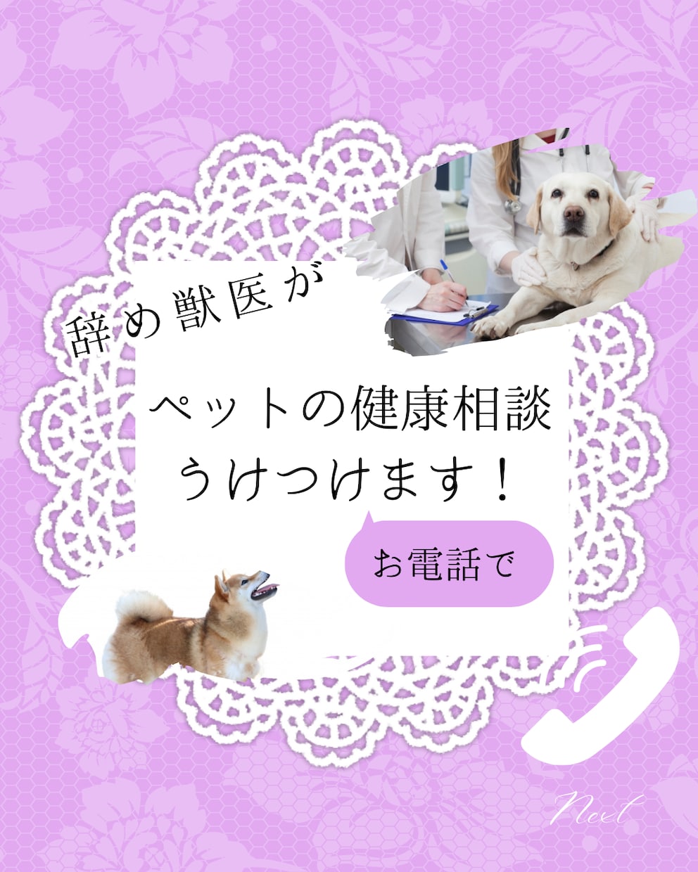 ペットの健康相談お電話で受けつけます 動物病院で聞きづらいこと、聞いてみませんか？ イメージ1