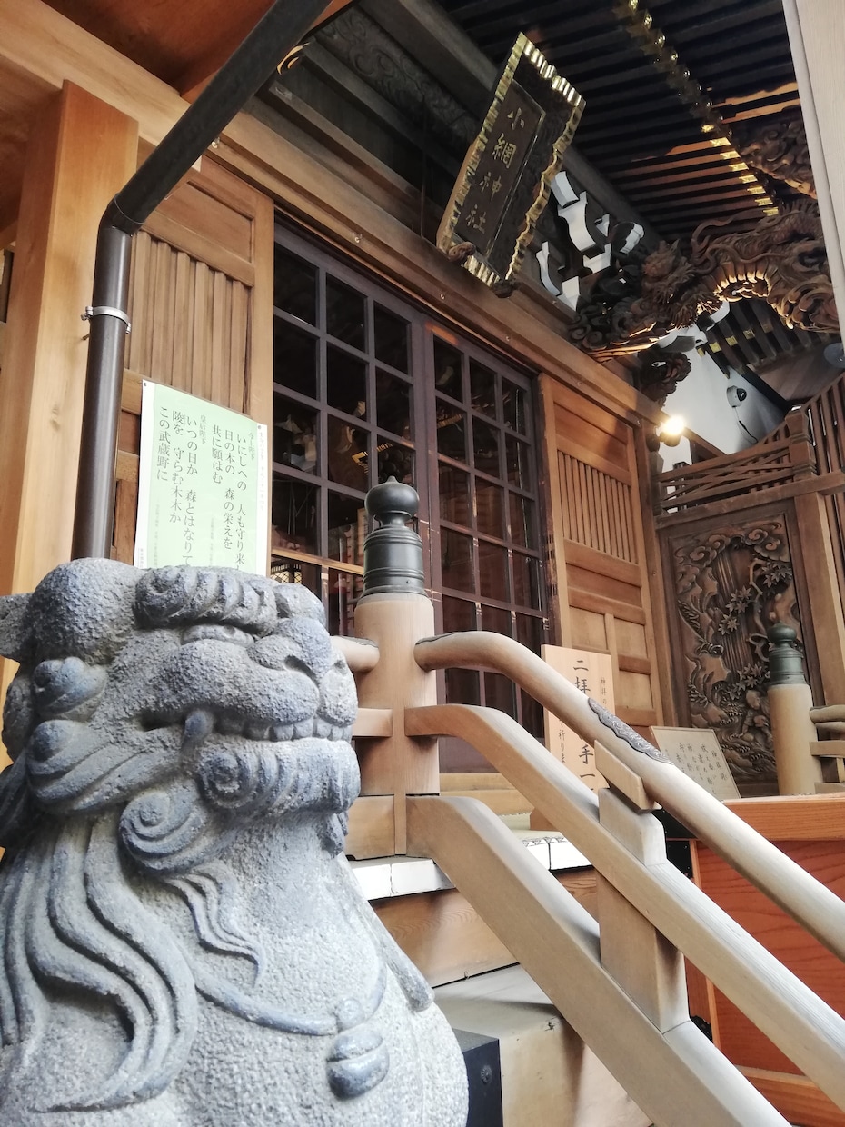霊視（チャネリング）を使いアドバイスさせて頂きます どんな内容でも真剣に視させて頂きます イメージ1