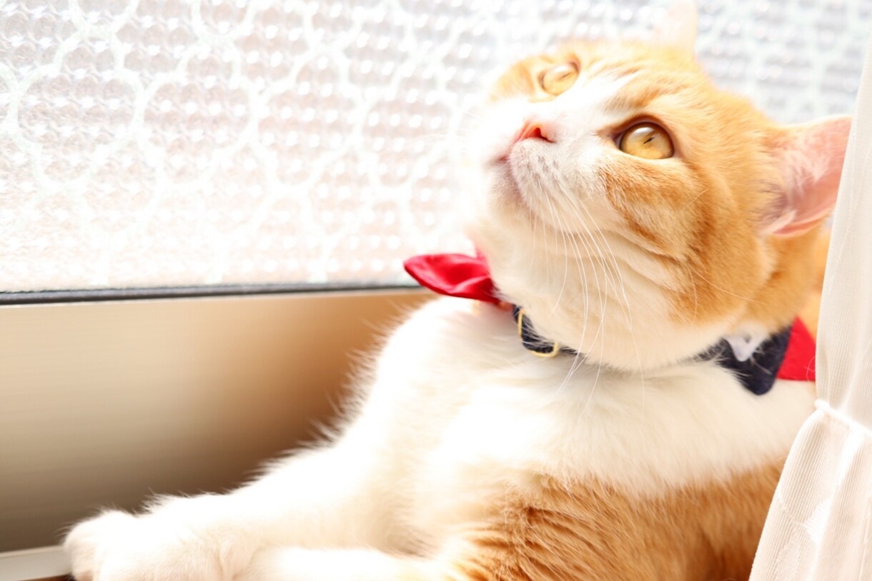 貴方の素敵な写真を加工します 写真のジャンルは問いません!簡単に加工‼︎サムネイルもOK イメージ2