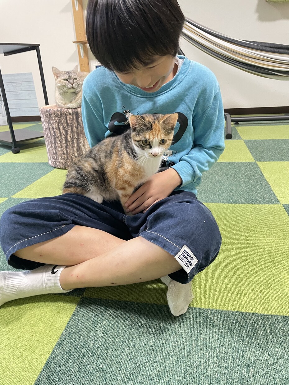 あなたの愛くるしいペット自慢聴きます かわいい、かわいいあなたのペットの癒しを聴かせてください。 イメージ5