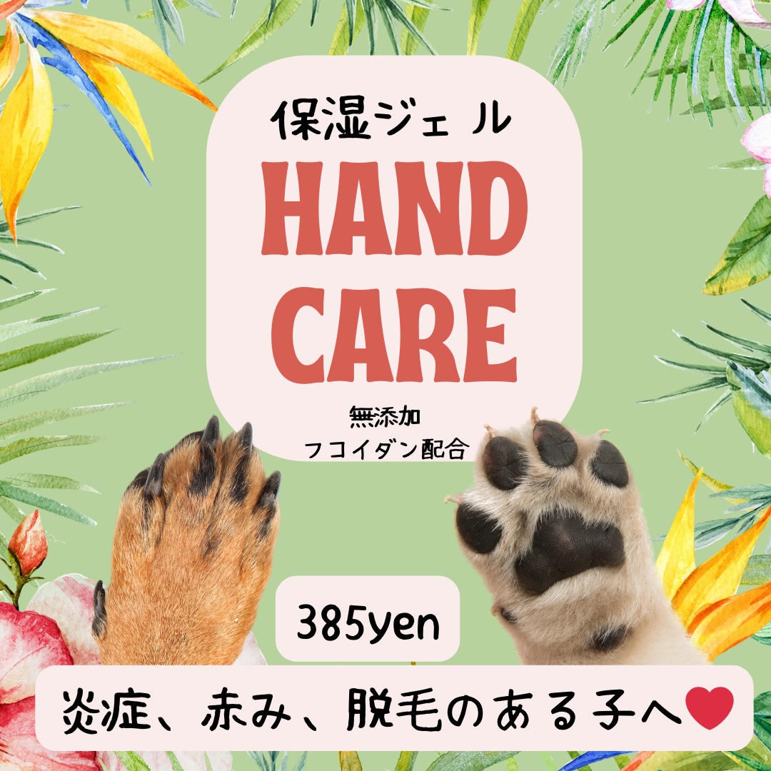 ペットのプロが制作！ペット専門広告作成します ペット業界26年犬、猫、小動物に特化した広告デザイン イメージ1
