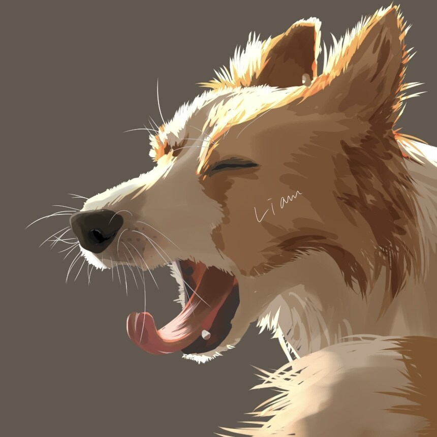 パソコンやスマホの壁紙などに！愛犬イラスト描きます コントラストがある、太陽を浴びたような明るい絵が特徴的です。 イメージ4