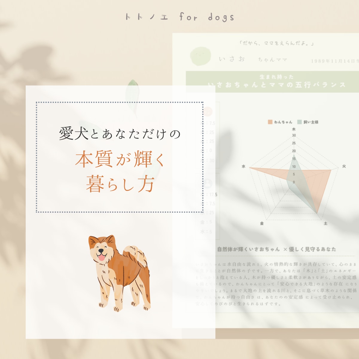 愛犬が、あなたのそばにいる理由をひも解きます 五行ホンシツ鑑定と併せて、ふたりの特別なつながりをお届け イメージ4