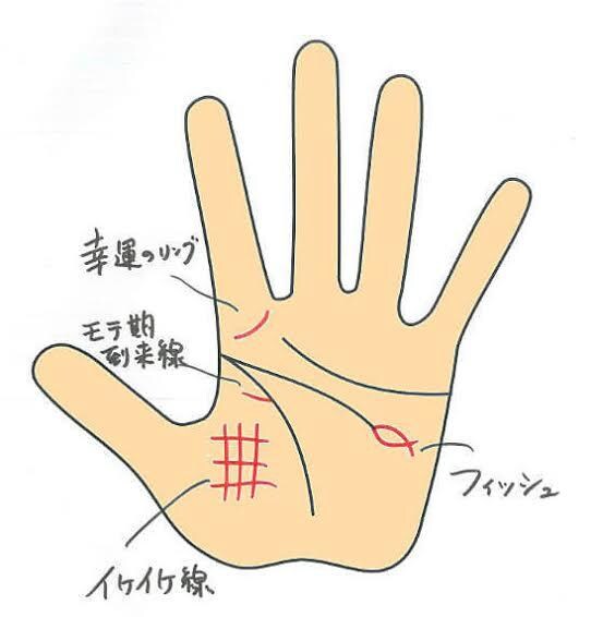 A4用紙手相鑑定で、過去〜現在〜未来を占いします 手相鑑定、誰かのお役に立てれば幸いです イメージ6