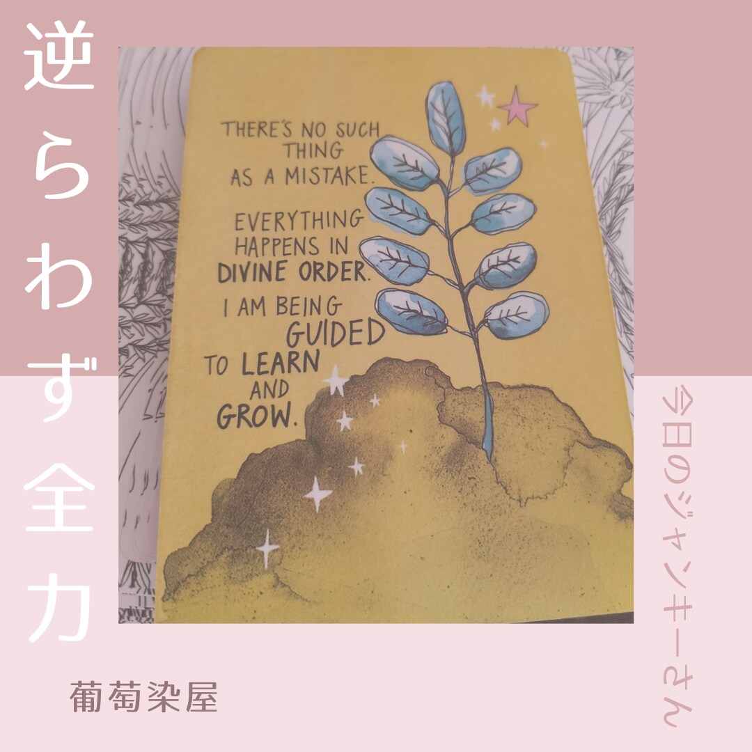 今のあなたへ✤オラクルカードのメッセージ伝えます 悩み解決のヒントや元気が出る言葉を画像とテキストでお届け イメージ3
