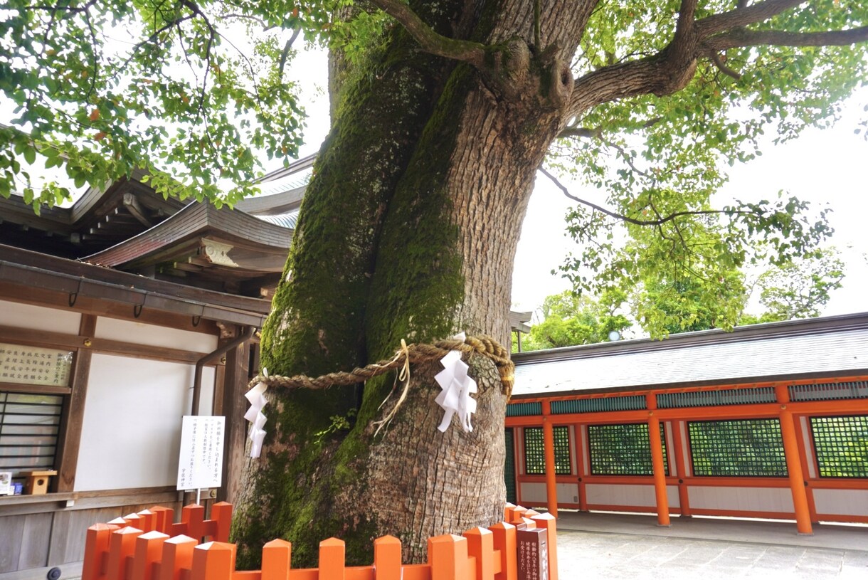 理解、共感してほしい悩みのお話しお聞きします 育児の悩み、夫婦関係、不倫、人間関係、鬱のお悩みお聞きします イメージ1