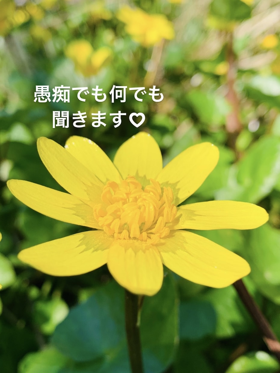 お出かけ前の１分電話で気持ちスッキリチェンジします ネガティブな気持ちを笑顔にしてからお出掛けしませんか？愚痴聞 イメージ5