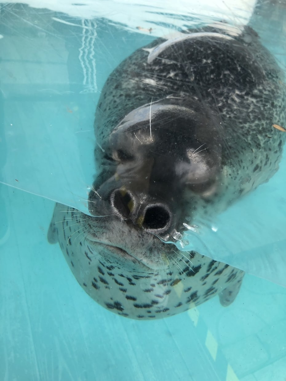 現役カウンセラーが守秘義務厳守で寄り添います 人間関係・恋愛・仕事の愚痴、悩み、不安から雑談まで何でもOK イメージ2