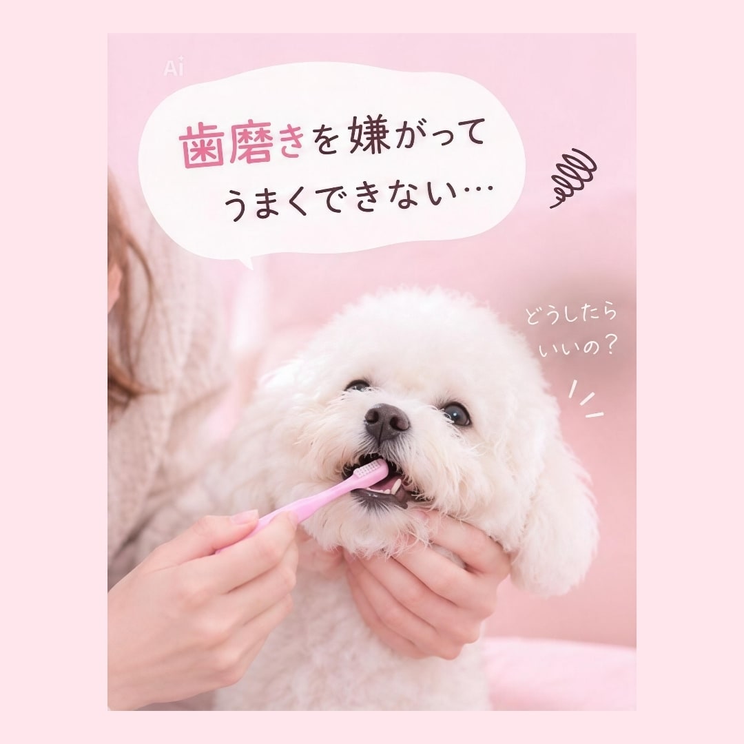愛犬の口臭のお悩みを一緒に考えます 口臭が気になる、歯磨きが苦手などのお悩みに寄り添います イメージ3