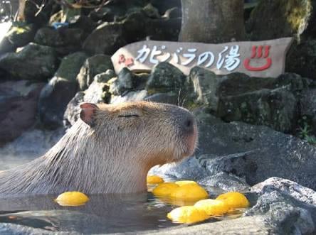 出会い系で異性と出会いたい方、出会う方法教えます 出会い系で出会いない人必見。顔は関係ない。関係あるのは… イメージ1