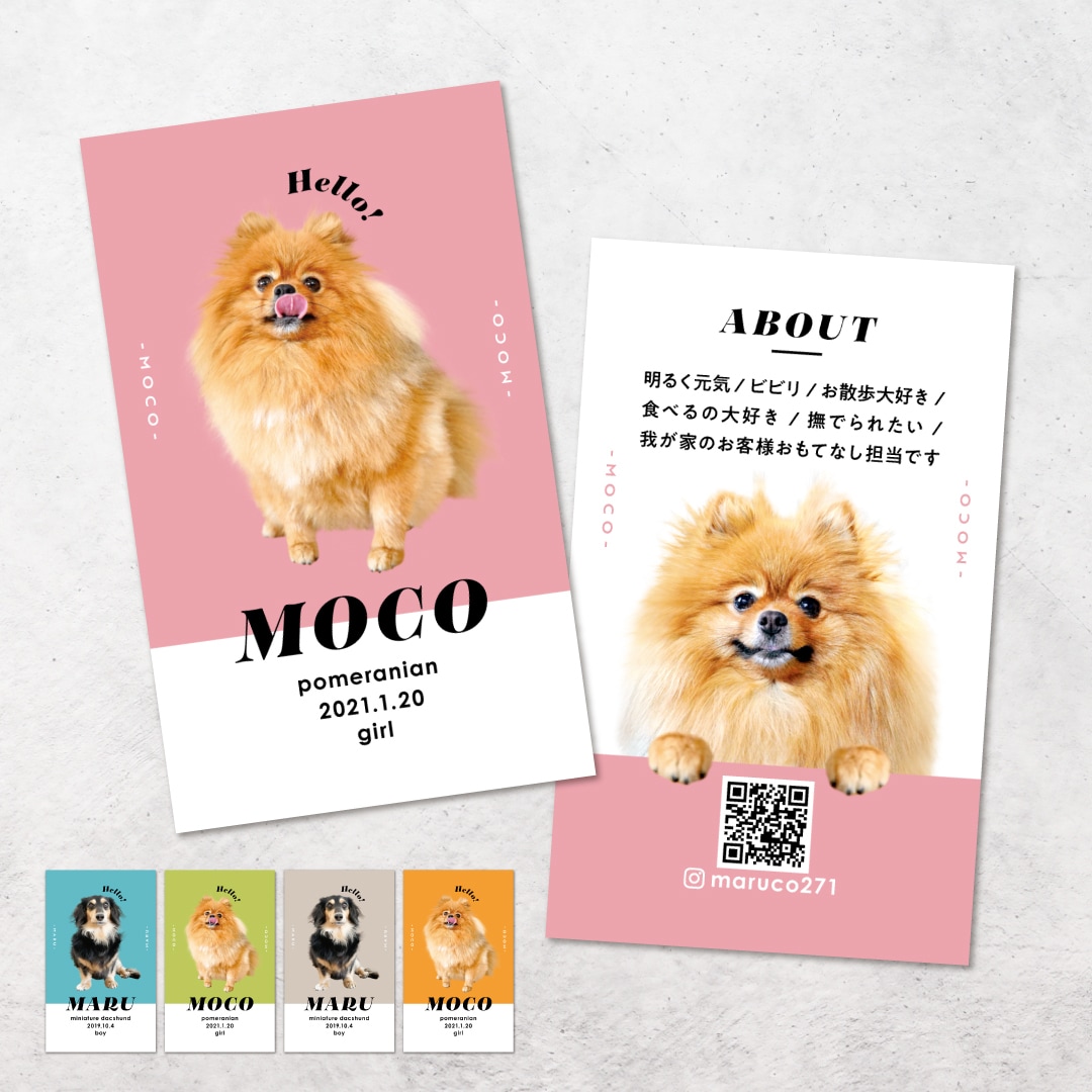ポップでおしゃれなうちの子・ペット名刺制作します 印刷代込み100枚！オフ会・イベントで大活躍♩ イメージ1