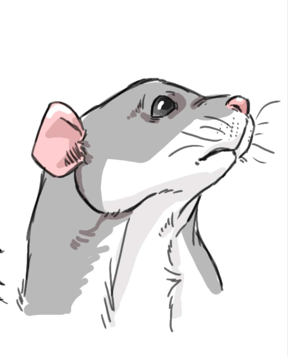 イラスト、アイコン、動物や似顔絵も描きます 色んなの描くので気軽にお願いします! イメージ2