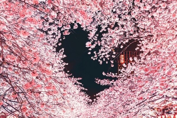 心のマッサージ★心を癒します 寂しい 物足りない 不安 心配 そんな貴女を癒します イメージ1