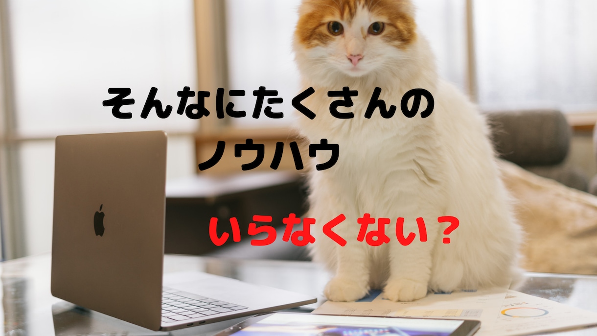 ノウハウコレクターから脱出する方法教えます ノウハウコレクターの私が脱出できたのはある簡単なことでした イメージ1