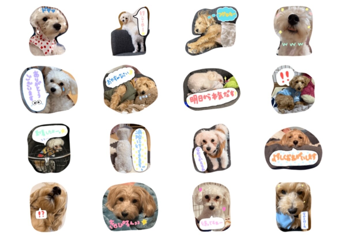 3000円で最大24こまでLINEスタンプ作ります 手書きや文字なしもできます！身内だけで使えるスタンプ！ イメージ3
