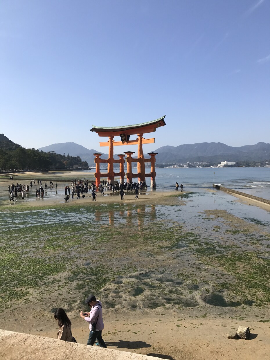 幸せになるための鍵を見つけます 本気で幸せになりたい方の為の全力鑑定です。 イメージ1