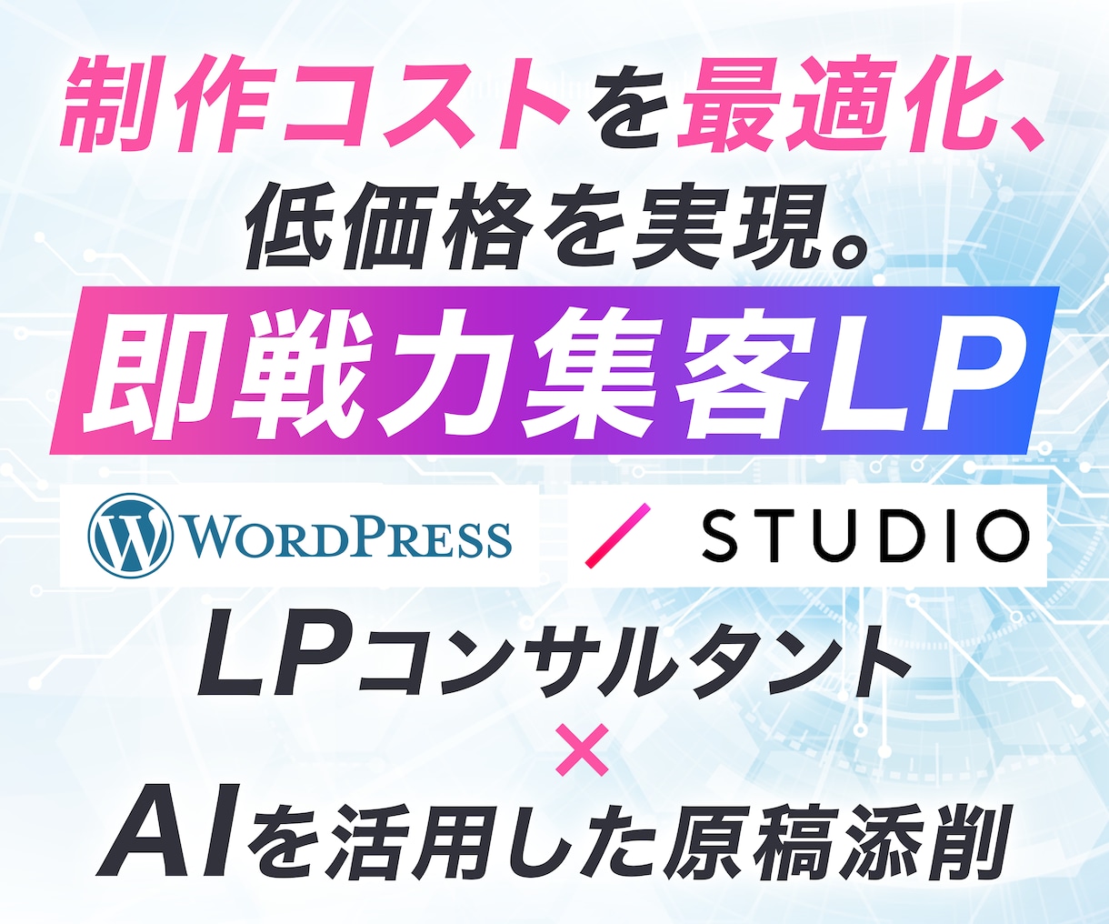 5名様限定価格！低コストでプロ仕様のLPつくります WordPress、STUDIOで簡単カスタマイズ可能なLP イメージ1