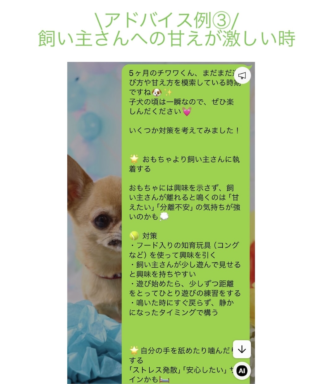 オンラインしつけ相談をします ペットとより良い暮らしに！しつけ教室の前にご相談ください！ イメージ5