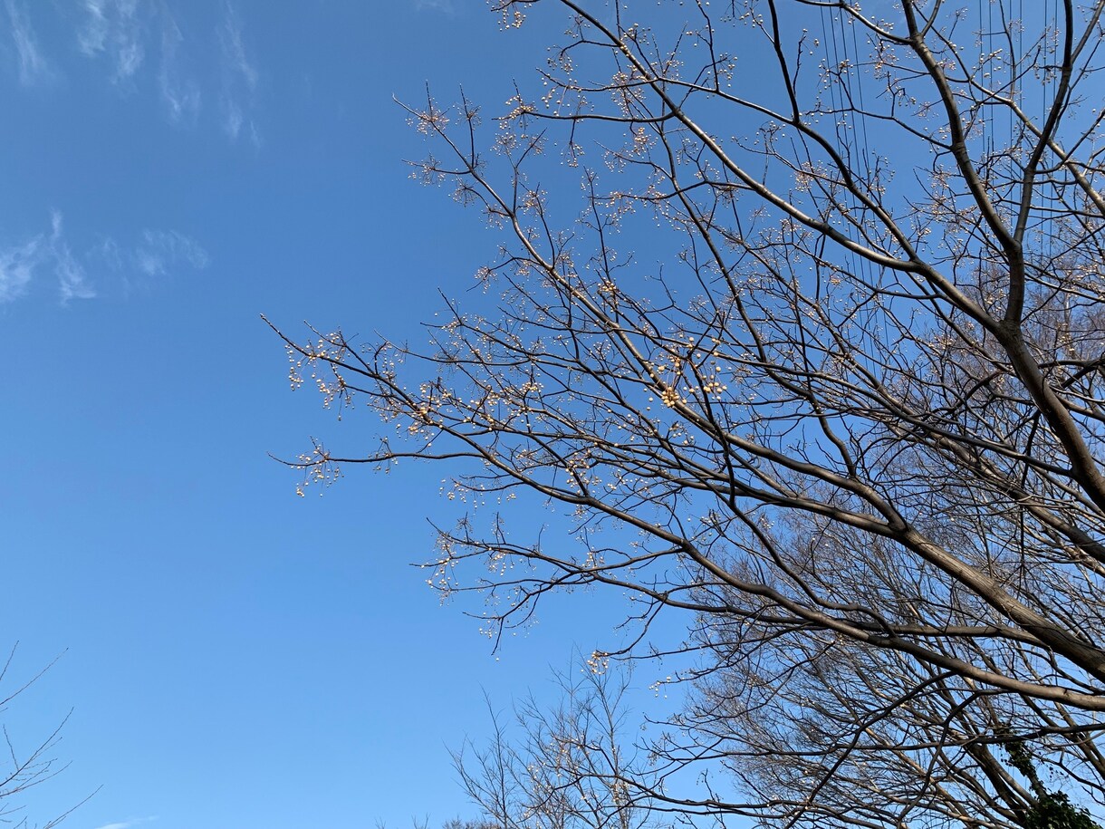 あなたのこれからのために、大切なものさがします あなたのこれからのため、大切なこと見つめ直してみませんか イメージ1