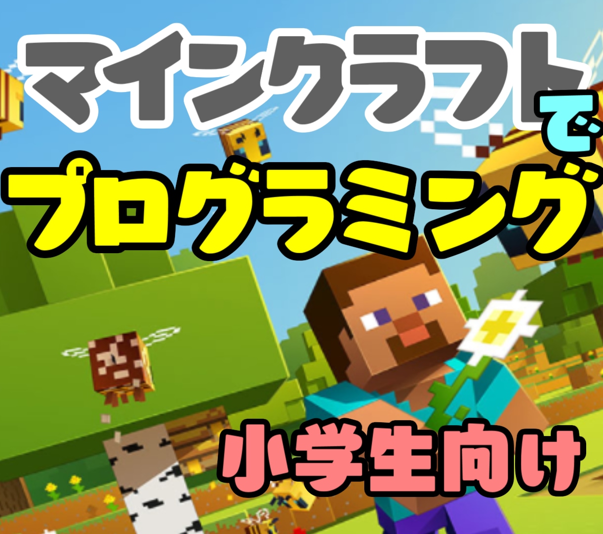 小学生向け　マイクラの操作方法などを教えます 現役システムエンジニアが分かりやすく教えます！ イメージ1