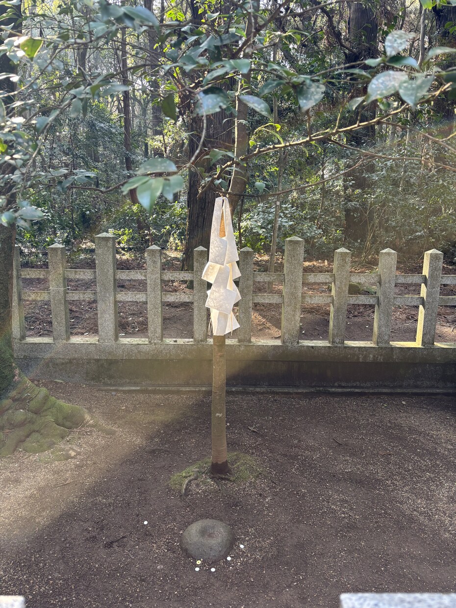 場所を選ばず☘️霊視⭐︎チャット鑑定いたします 電話鑑定待機時間外は要相談になります♎️延長も可能です イメージ5