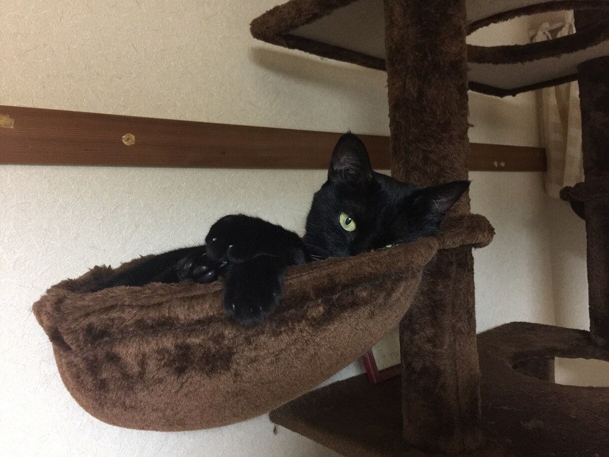 話し相手になります 。。。話してスッキリ(´・∀・)/アウトプット☆ イメージ2