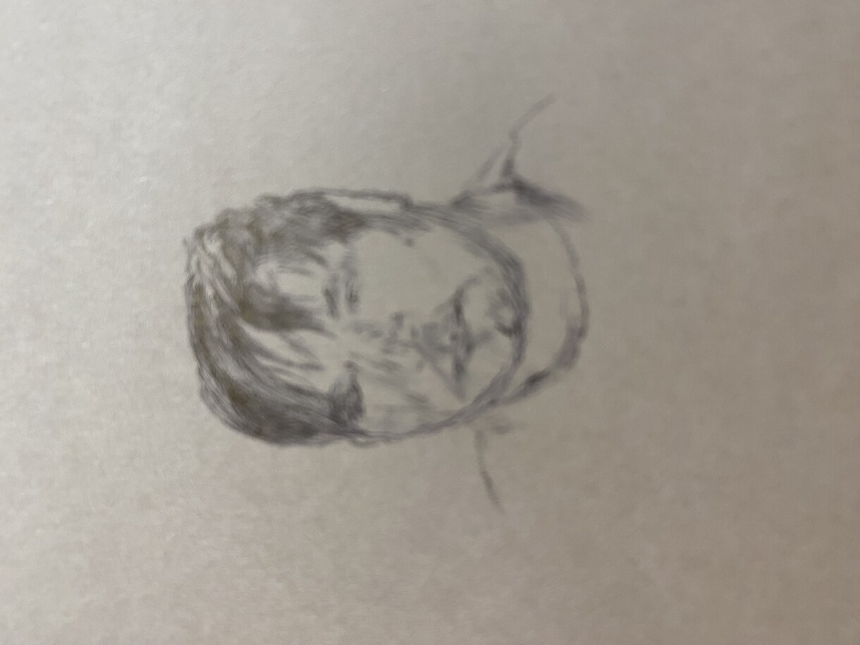 自画像 ボールペン字描きます ボールペンの細かい線で生きている様な自画像 画像紙色選べます イメージ1