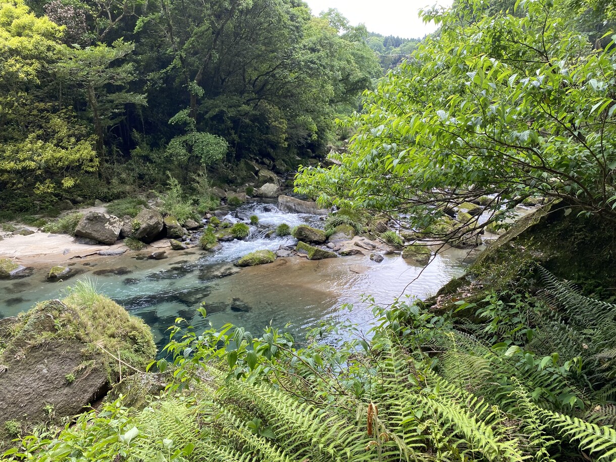 チラシなどで使える、画像素材の提供をいたします 海シーズン、川シーズンにピッタリな作品となっております！！！ イメージ7