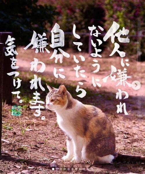 愚痴、悩み、なんでも聞きます 誰かに話せばきっと軽くなりますよ。 イメージ1