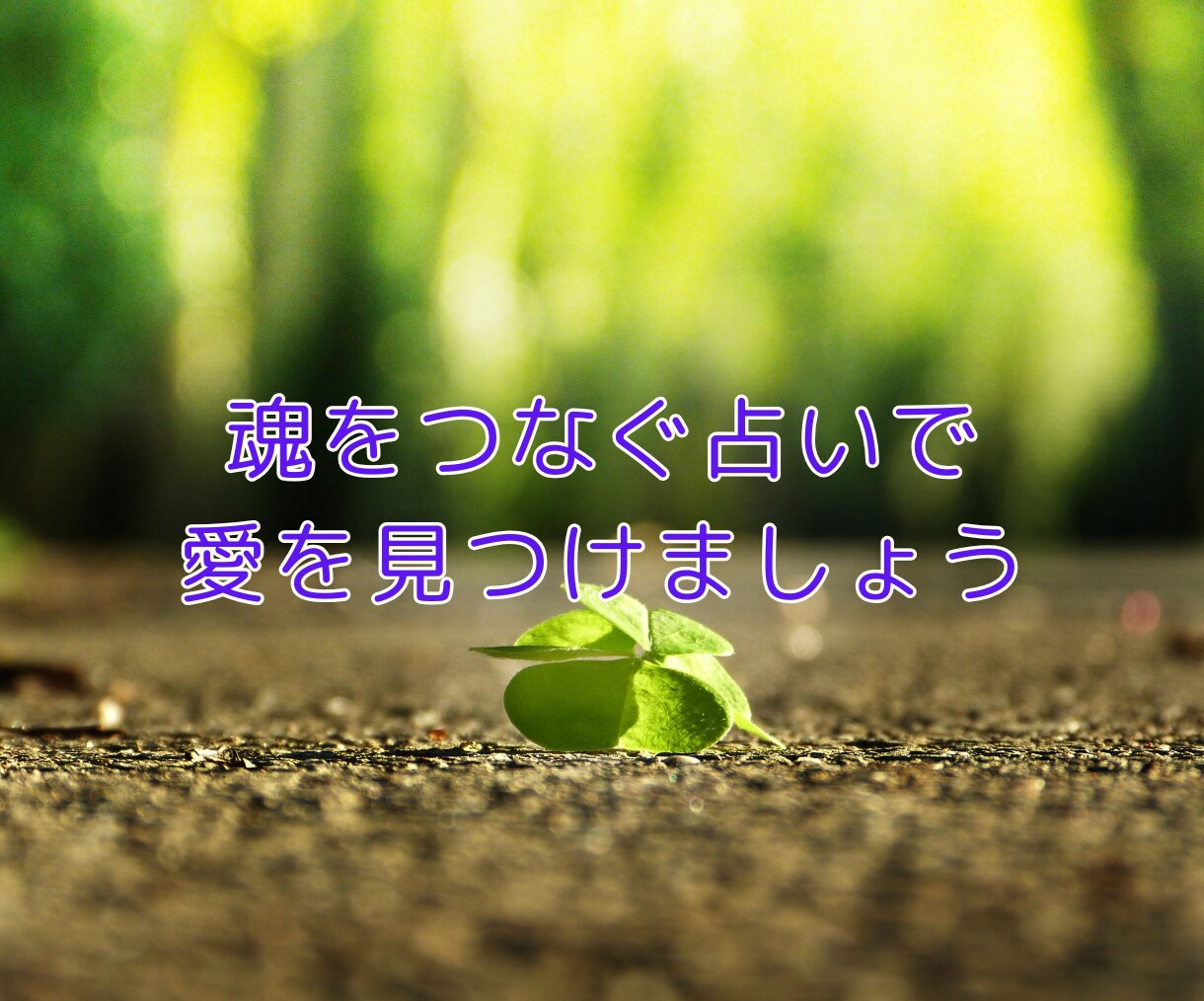 魂が導く縁結び！婚活成功と愛の成就を占います ★婚活★結婚★運命の人・出会い★幸せな結婚を予想します イメージ9