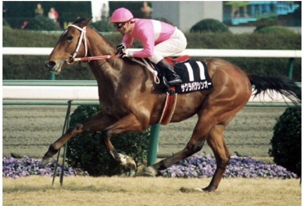 あなたの代わりにJRA競馬予想します 競馬予想は午年男に乗れ！JRA短距離戦を予想配信致します！ イメージ4