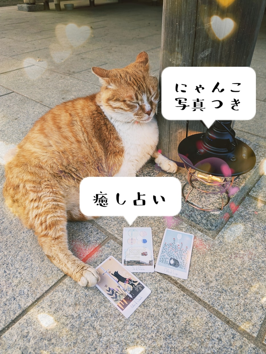 にゃんこから癒しのタロットメッセージをお送りします つらい時、そっと背中を押してくれる“にゃんこからの贈り物” イメージ1