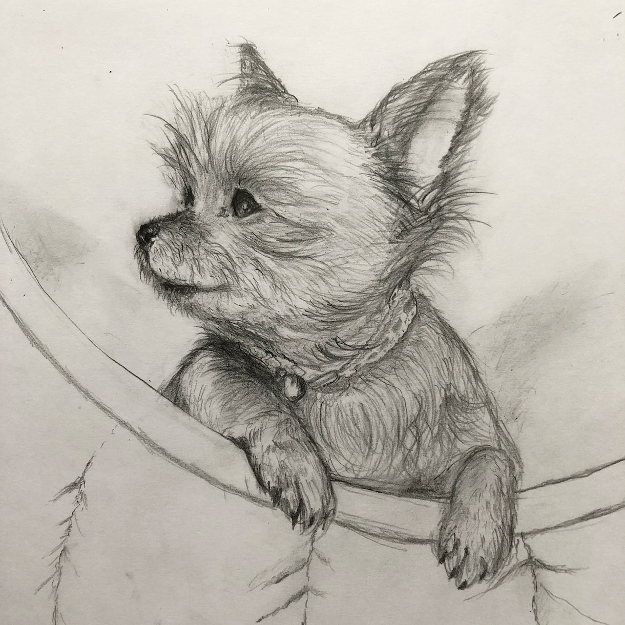 愛しいわんこさんの日常描きます 一緒にいた心地よい光景を描かせて頂きます。心に触れる絵 イメージ2