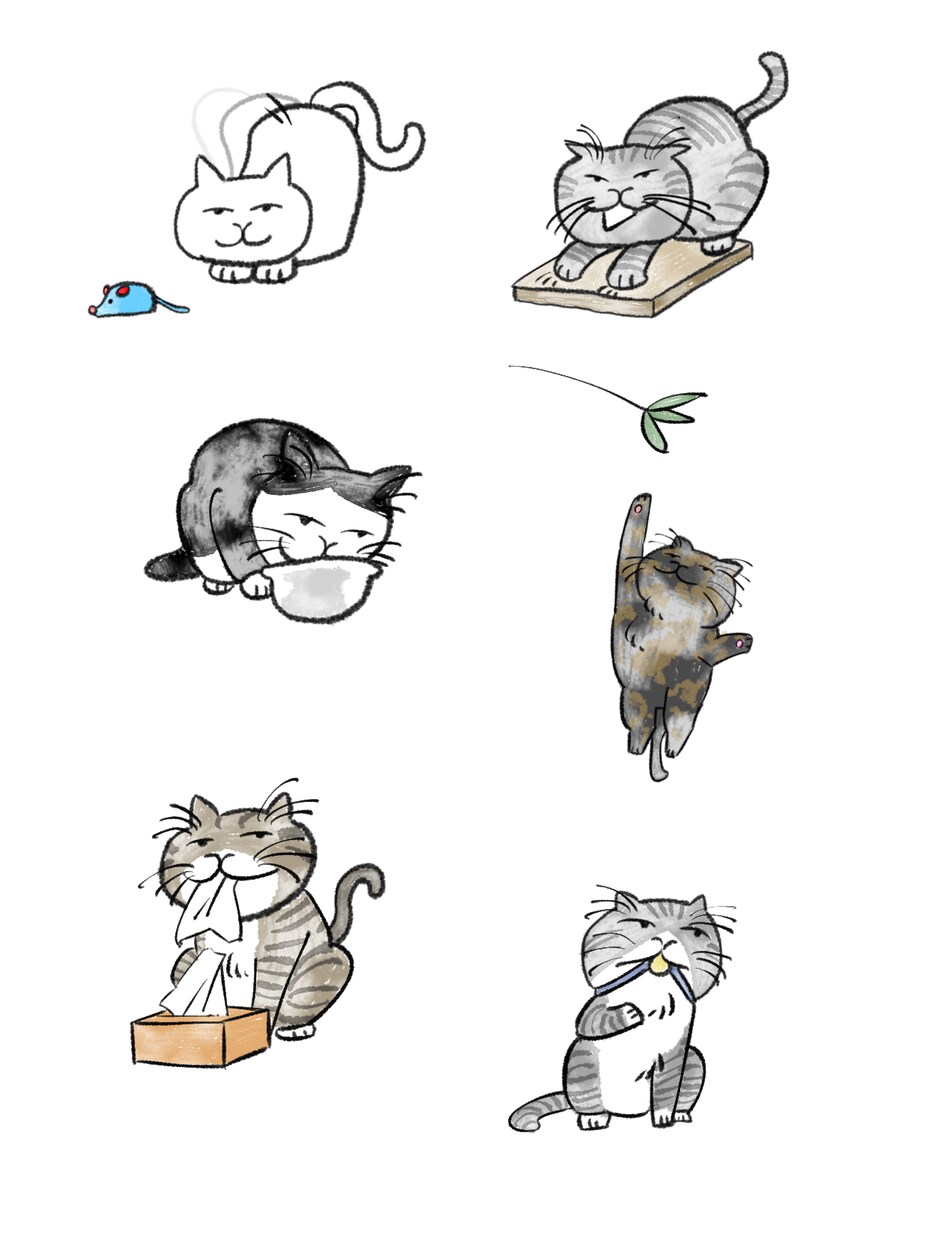 お好みの猫ちゃん描きます あなたのご要望通りの猫ちゃんを。 イメージ2