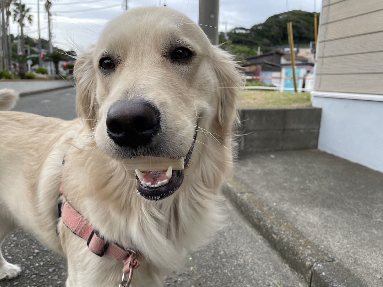 内緒話し聞きます 4児の父。苦難を乗り越え嫁が好き。41歳です。 イメージ10