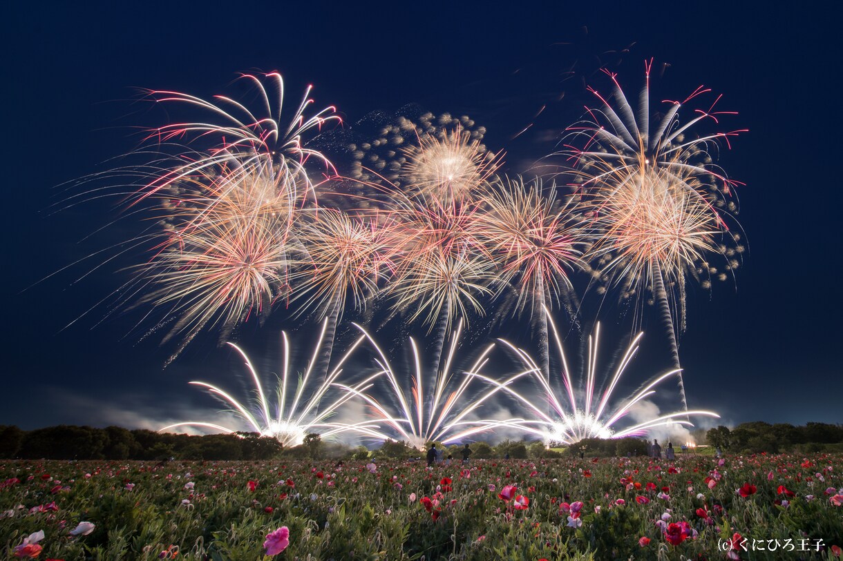 花火写真を提供します 花火だけでなく、夜景や建物等花火プラス風景の写真です。 イメージ7