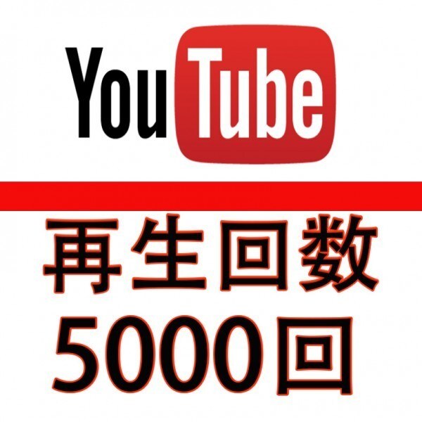 Instagramフォロワー11000人増やします instagramのフォロワーを増やします イメージ2