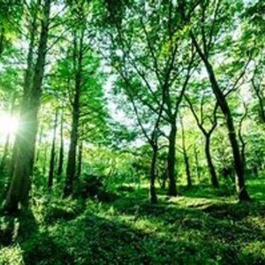 あなたのための心理カウンセリングを承ります 周りの目や意見が気になってしまう…あなたにオススメです イメージ1