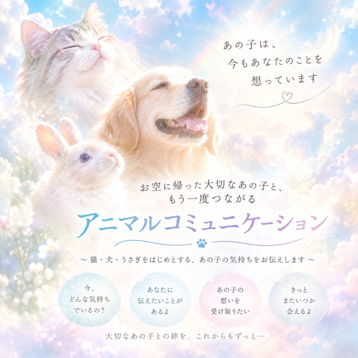 お彼岸用特別版❀　お空組の動物さんとお話します ❀アニマルコミュニケーション❀26日までのサービスです。 イメージ1