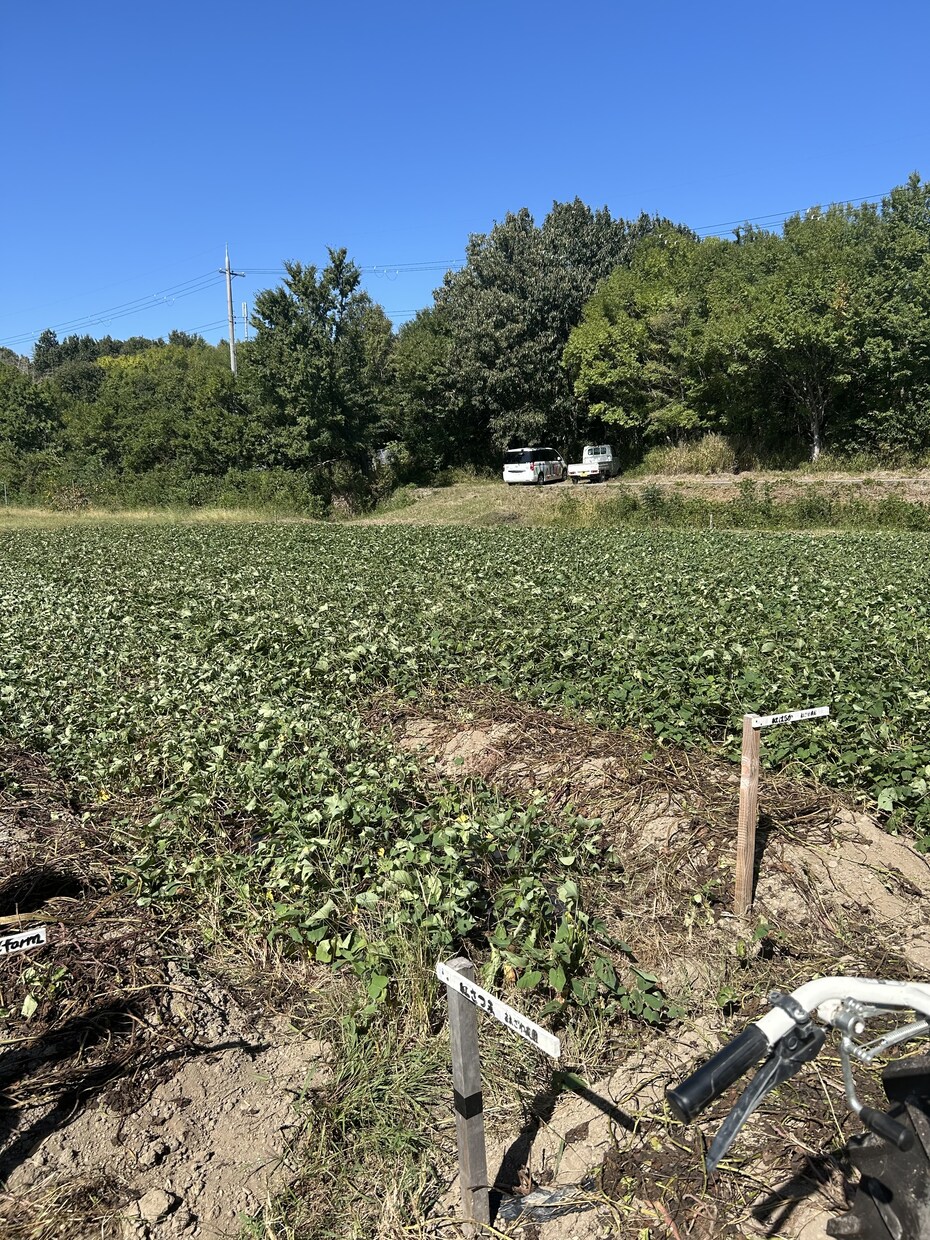 家庭菜園の花壇作りから有機栽培のアドバイスします 新米有機栽培農家ですが、皆さんで庭に「ボタジェ」をりましょう イメージ3