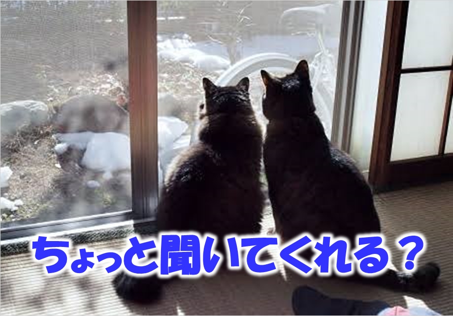あなたのどんな悩み事も３日間じっくりお聞きします 不安な思いやモヤモヤの原因を一緒に見つけていきましょう！ イメージ1