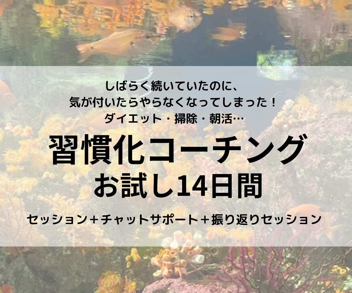 体験！健康・勉強・朝活など習慣化お手伝います しばらく頑張ったのに続かなかったこと。今度こそやりましょう！ イメージ1