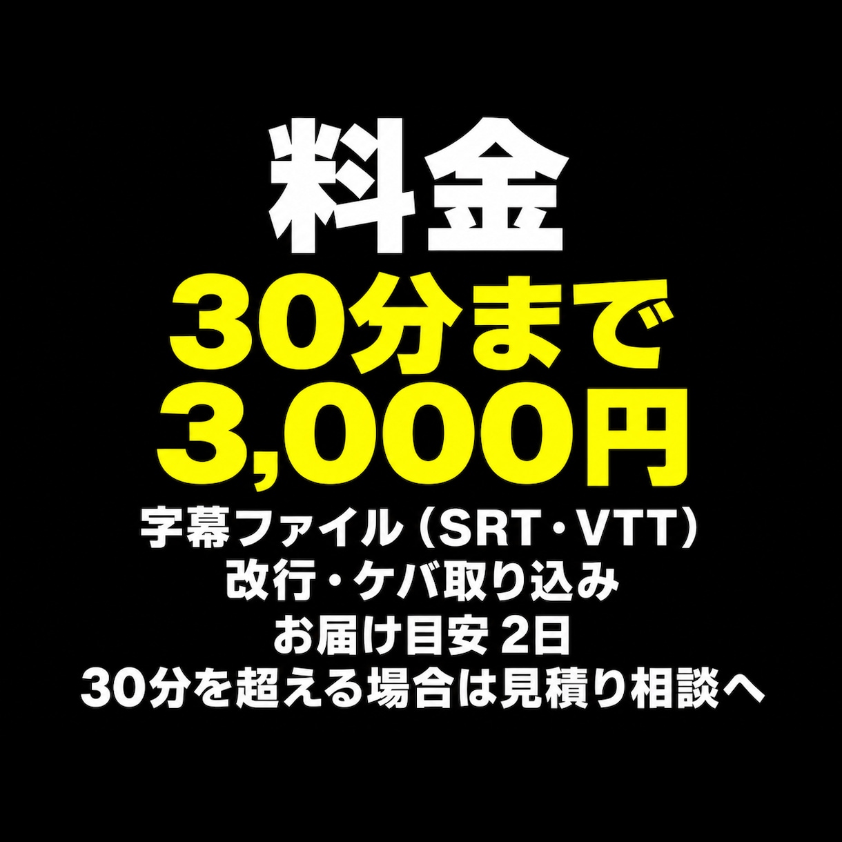 動画の字幕ファイル（SRT）を作成します YouTube・セミナー動画に。30分まで3,000円 イメージ10