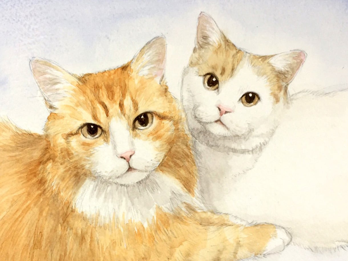 猫 水彩画 - 美術、工芸品