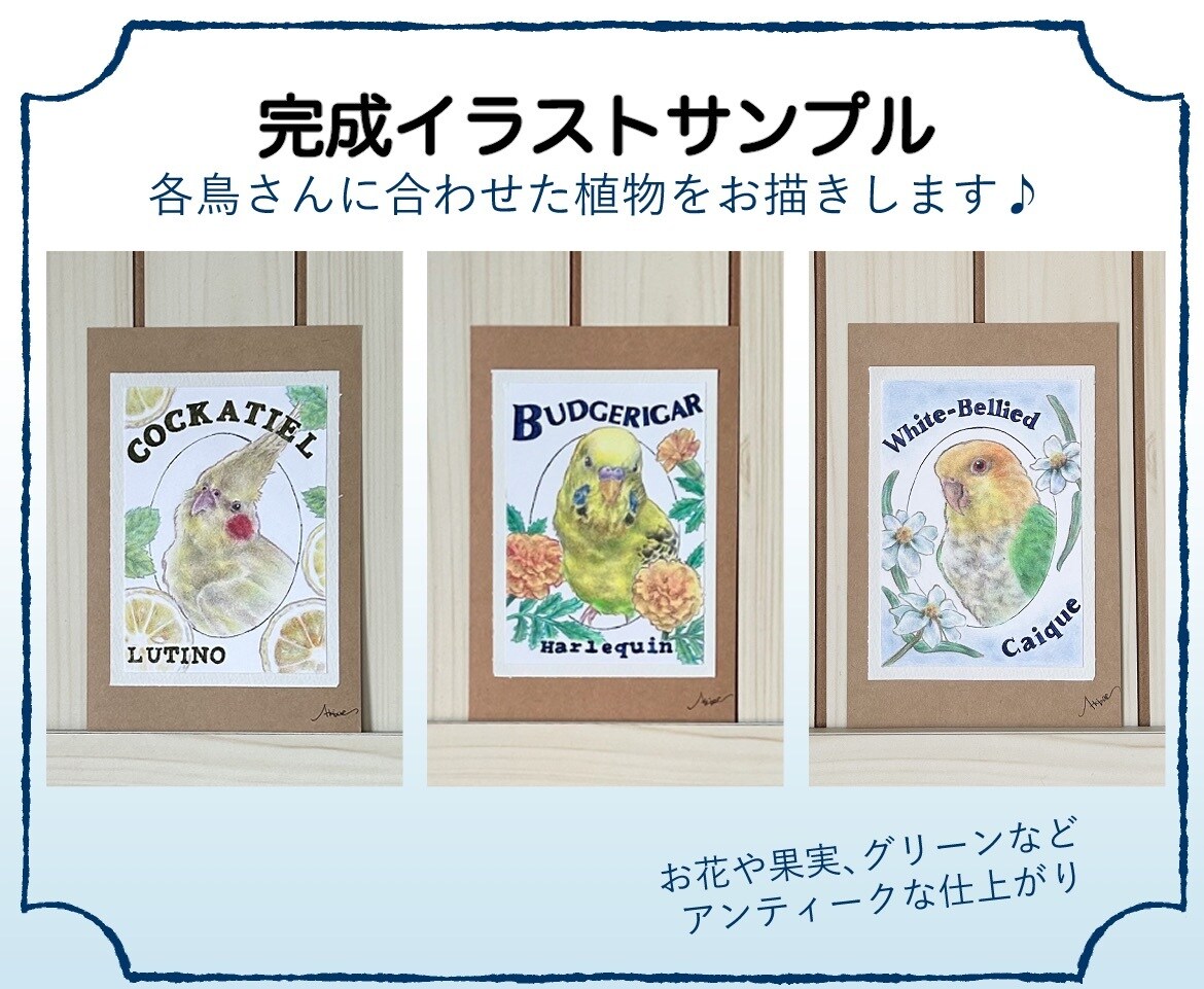 お好きな鳥さんでイラスト作成します 癒しの一点もの！手描きの色鉛筆原画　鳥好きさんに イメージ3