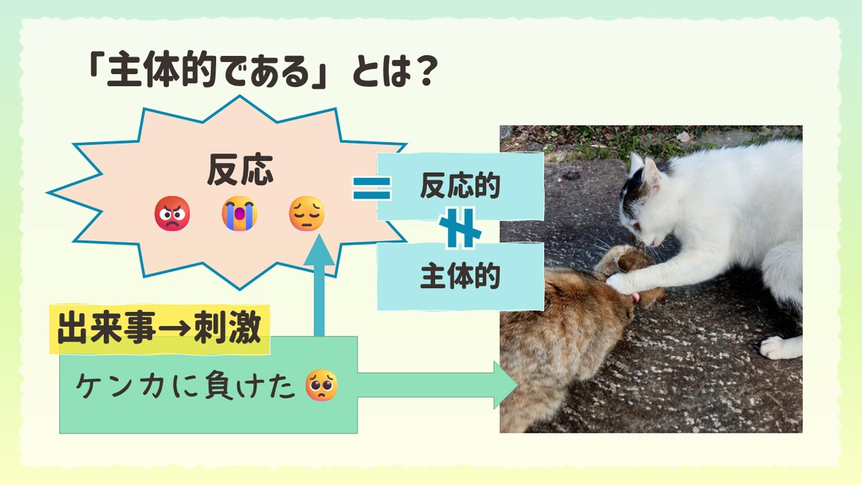 ブログ・SNS・資料向けの図解画像を制作します 文章だけでは伝わりにくい内容を見やすく整理します イメージ5