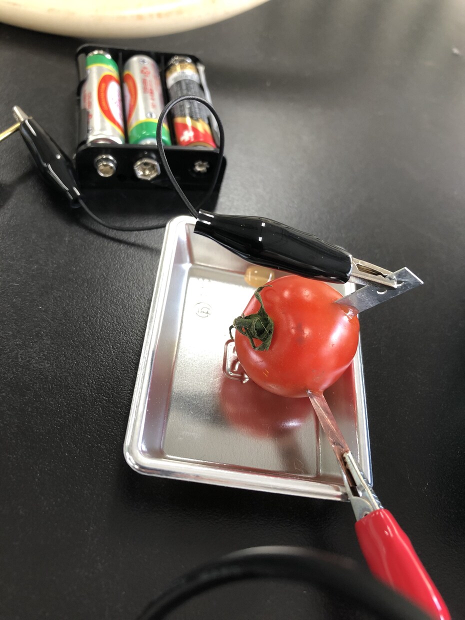 夏休みの自由研究などに便利な理科の実験を提案します 理科の教員を目指す、現役教育学部生がお応えします！ イメージ7