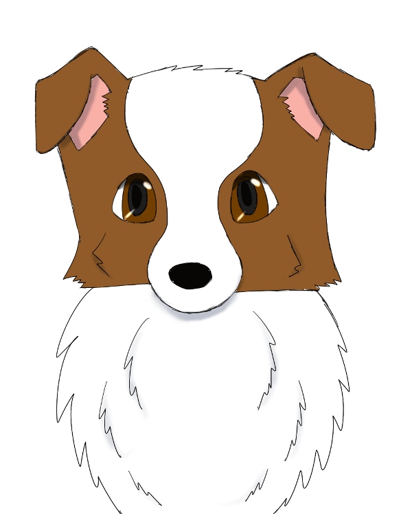 犬・猫のイラスト描きます かわいいペットのイラストが欲しい方におすすめ イメージ2